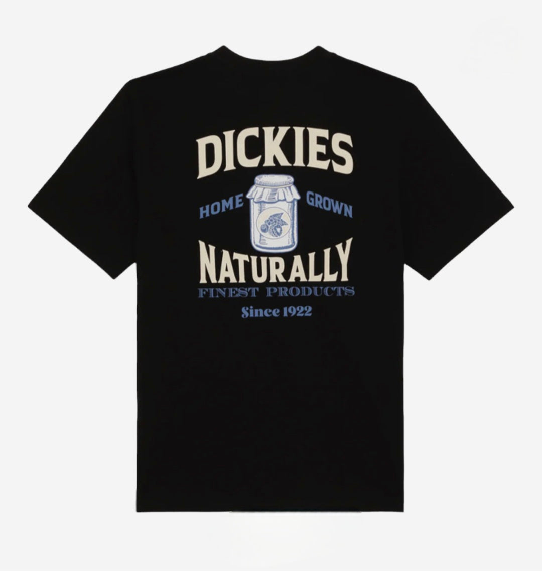 👕 T-shirt Homme Dickies