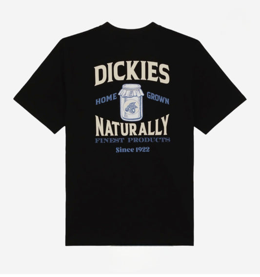 👕 T-shirt Homme Dickies