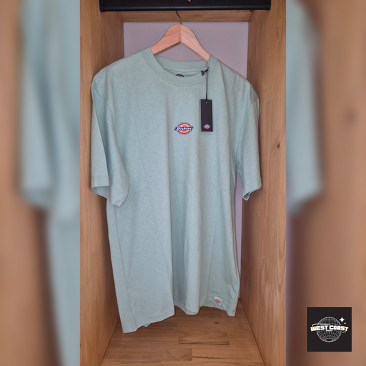 🔥Dickies Maple valley vert clair